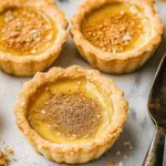 Delicious Vegan Custard Tarts with Nutmeg You’ll Love 10 Vegan custard tarts with nutmeg