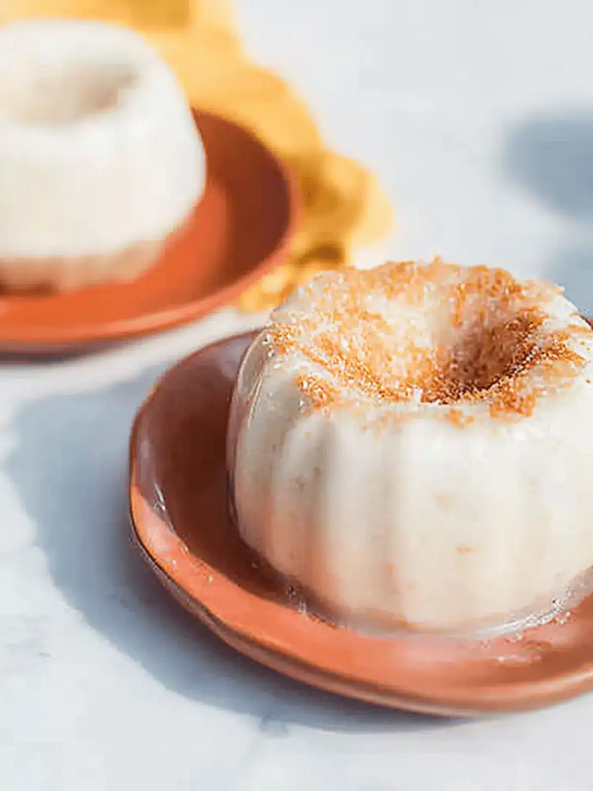 Irresistible Tembleque: Creamy Puerto Rican Coconut Pudding 5 Tembleque (Puerto Rican Coconut Pudding)