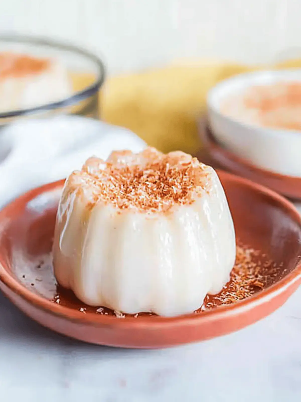 Irresistible Tembleque: Creamy Puerto Rican Coconut Pudding 2 Tembleque (Puerto Rican Coconut Pudding)