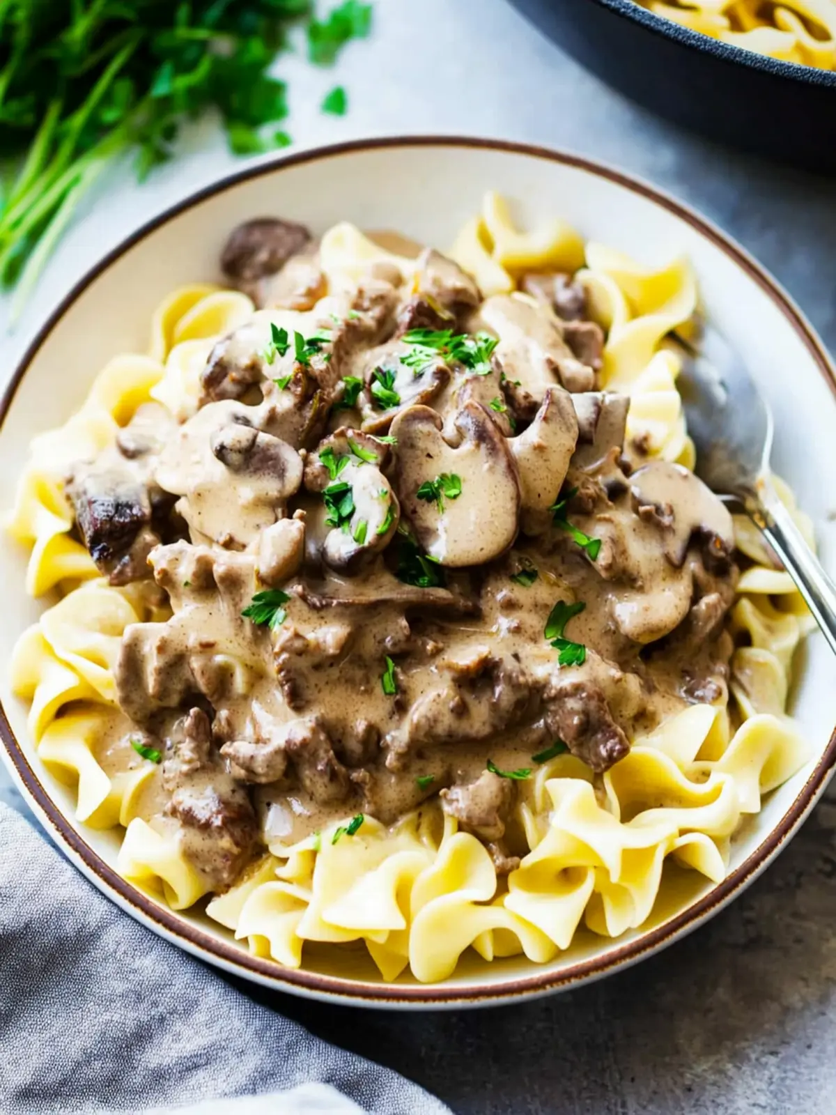 Beef Stroganoff with Egg Noodles