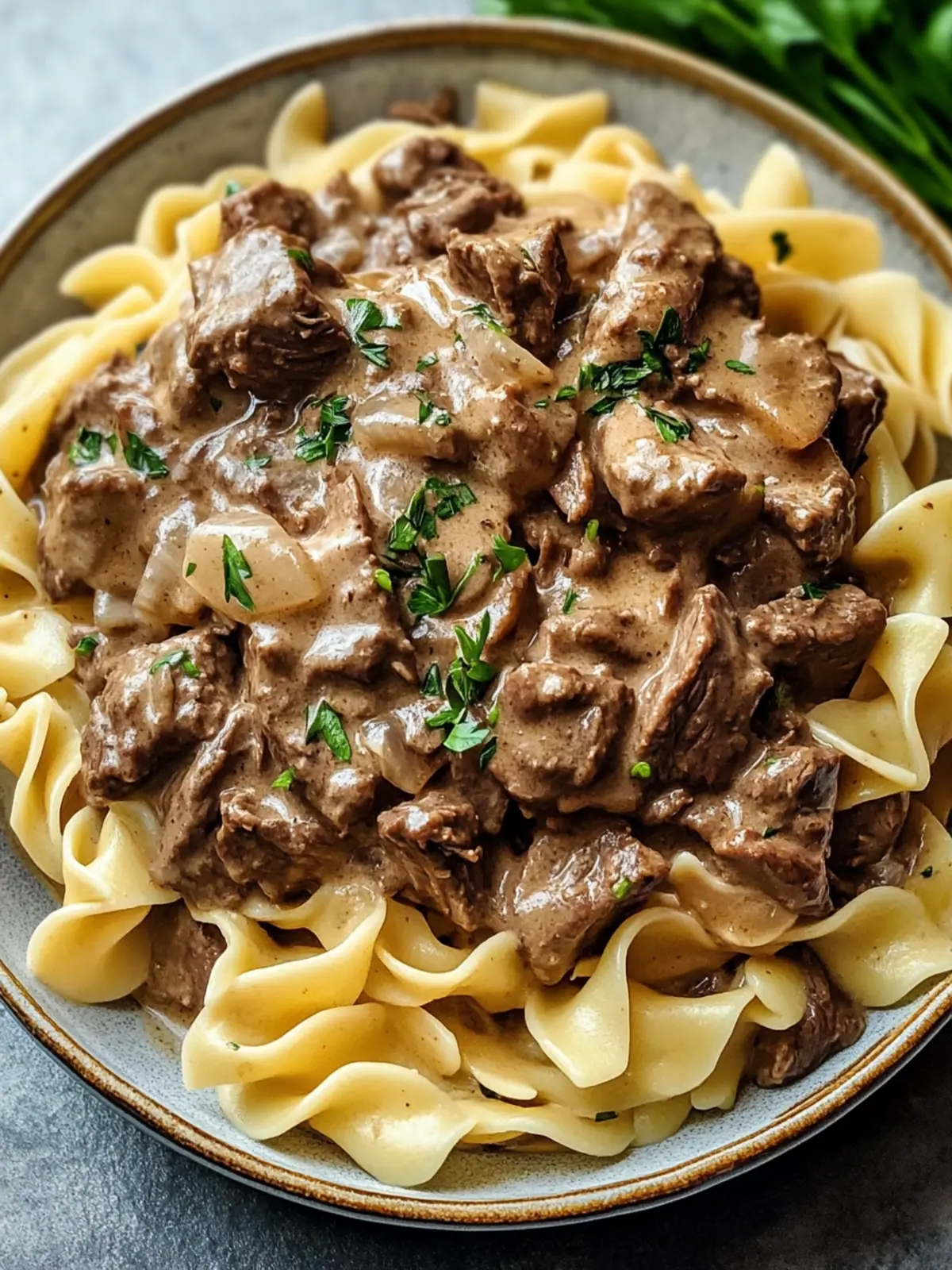 Beef Stroganoff with Egg Noodles