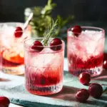 Refreshing Cherry Gin and Tonic to Elevate Your Evenings 6 Cherry gin and tonic